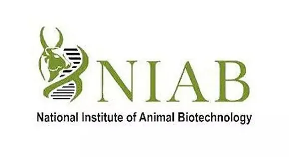 NIAB Recruitment 2020 for Project Associate -II