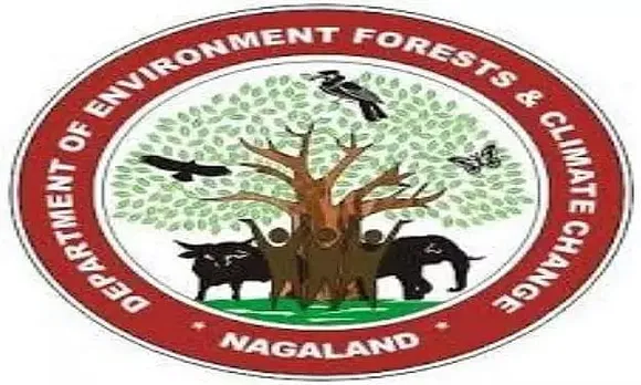 Department Of Environment, Forests & Climate Change, Nagaland Job