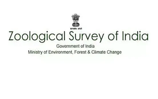 ZSI Recruitment 2020 for Junior Research Fellow/Senior Research Fellow
