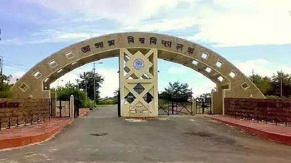 Assam University Silchar Vacancy 2020 - Assistant Professor Jobs, Latest Openings