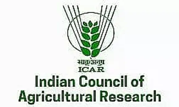 ICAR Meghalaya Job Recruitment 2021- 1 Young Professional-II Vacancy, Job Opening