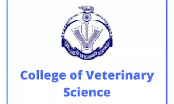 College Of  Veterinary Science Guwahati Recruitment 2021 - 6 Project Associate, Young Professional & Other Vacancy, Job Openings