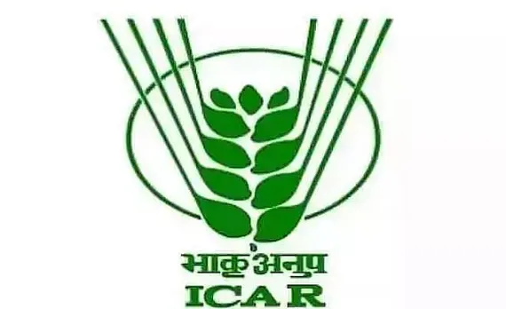 Indian Council of Agricultural Research (ICAR) Recruitment 2021 - Young Professional-II Vacancy, Latest Jobs