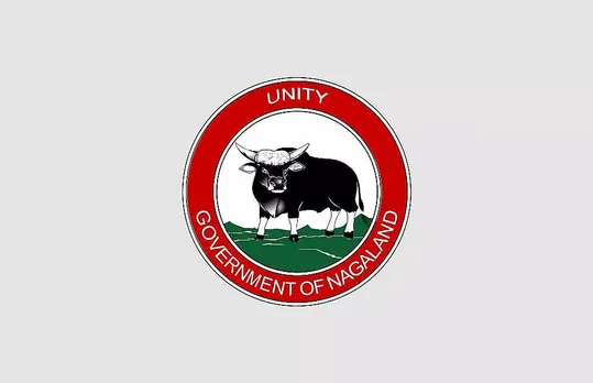 Noklak DC Office Nagaland Recruitment 2021 - District Project Associate Vacancy, Job Openings
