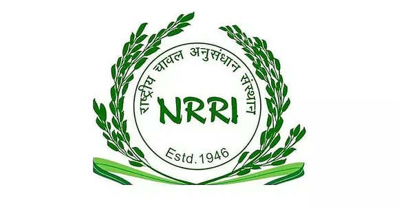 ICAR-NRRI Recruitment 2021 - Young Professional-I Vacancy, Latest Job Openings
