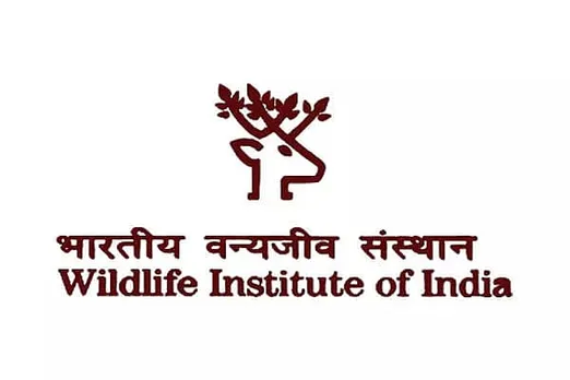Wildlife Institute of India (WII) Meghalaya Recruitment 2021 - Project Associate-II Vacancy, Job Openings
