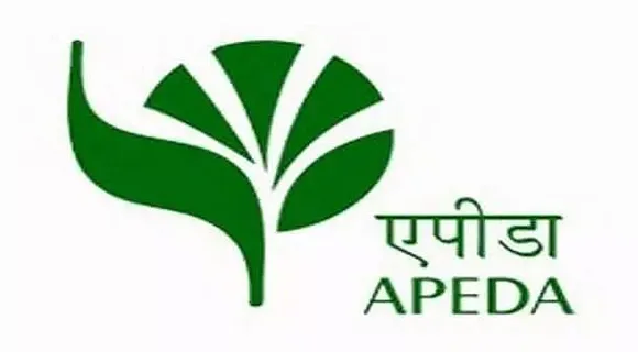 APEDA Guwahati Recruitment 2021 - 29 Young Professional, Consultant Vacancy, Latest Jobs
