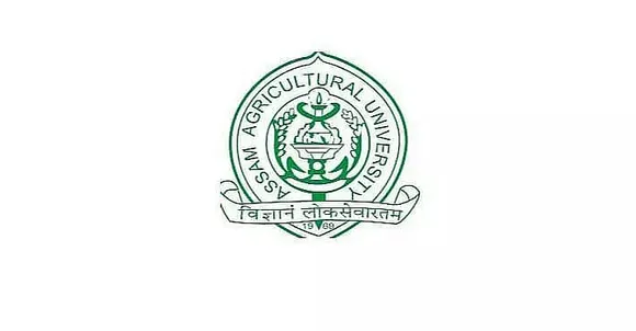 AAU Recruitment 2021 - Young Professional Vacancy, Job Openings
