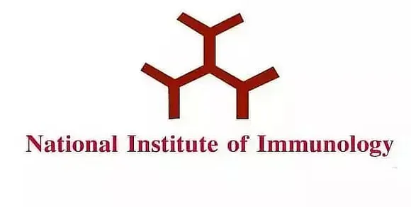 NII Job Recruitment 2021 - 01 Research Associate Vacancy, Job Openings