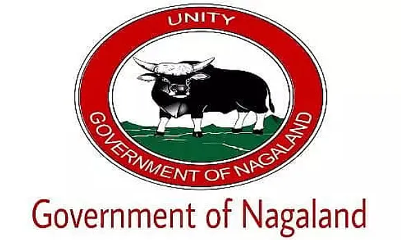 FOCUS Nagaland Recruitment 2022 – 02 Assistant Manager Planning Vacancy, Job Opening