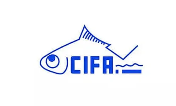 CIFA Recruitment 2022 - Young Professional Vacancy, latest Jobs