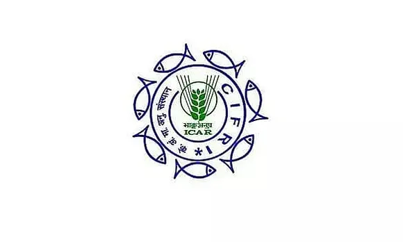 CIFRI Recruitment 2022 - Technical Officer, Young Professional-I Vacancy, Latest Jobs