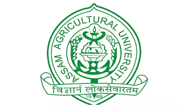 AAU Recruitment 2022 - Young Professional Vacancy, Latest Jobs