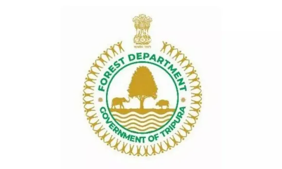 TFDPC Ltd. Recruitment 2022 - Company Secretary Vacancy, Job Opening