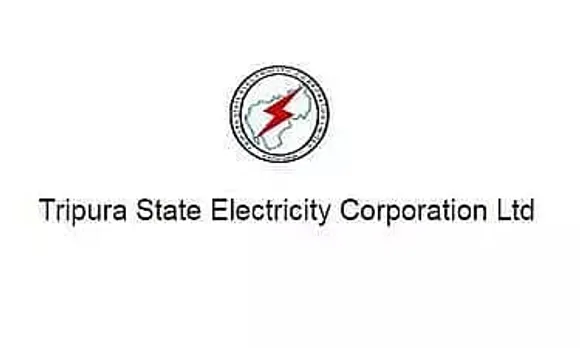 TSECL Recruitment 2022 - Senior Manager Vacancy, Job Opening
