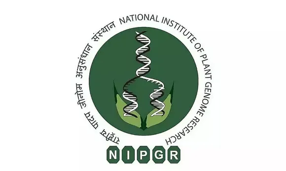 NIPGR Recruitment 2023 - Research Associate III Vacancy, Job Openings