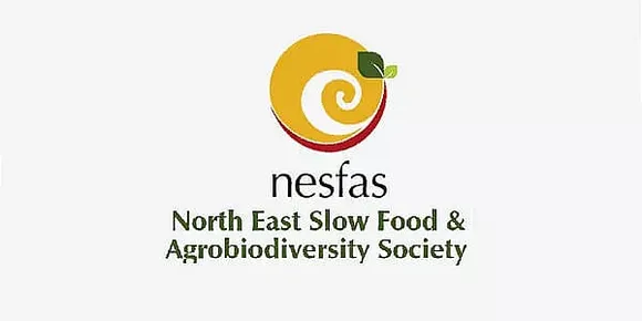 NESFAS Recruitment 2023 - Research Consultant-Statistics Vacancy, Job Openings