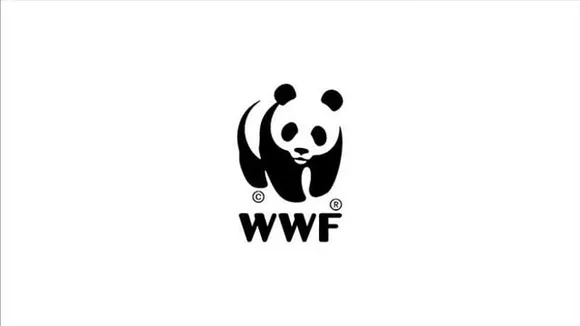 World Wide Fund India Recruitment 2020 
