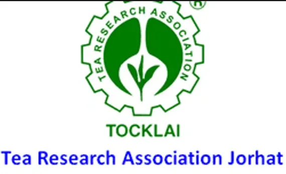 Tocklai Tea Research Institute Assam Recruitment 2024 - Research Fellow Vacancy, Job Openings