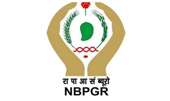 NBPGR Recruitment 2024 - Scientific/Administrative Assistant Vacancy