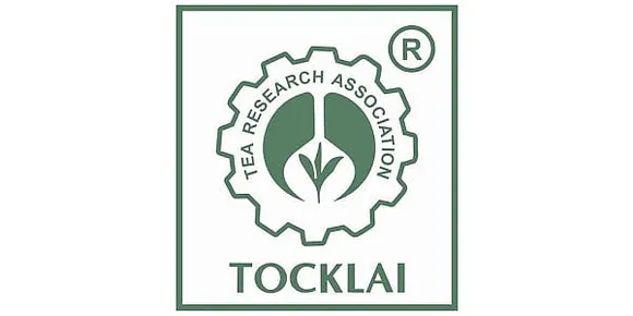 Assam Career: TRA Recruitment 2024 - Project Assistant Vacancy