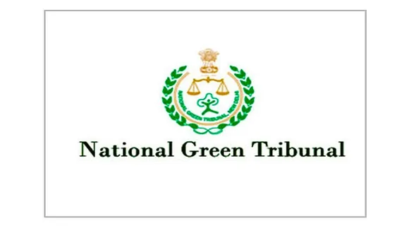 Jobs in India: NGT Recruitment 2025 - Stenographer Vacancy