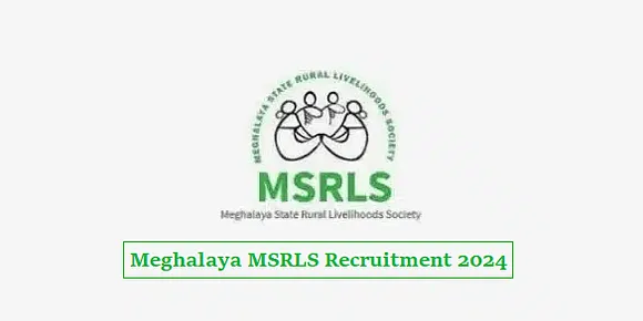 MSRLS Recruitment 2024 - District Functional Specialist Information Technology (DFS-IT) Vacancy