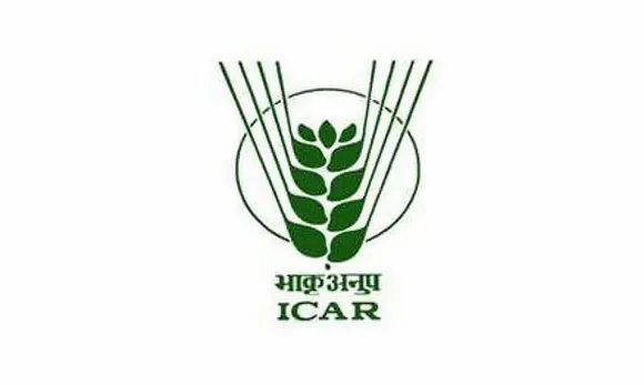 ICAR - CIFE Recruitment 2024 - Upper Division Clerk Vacancy