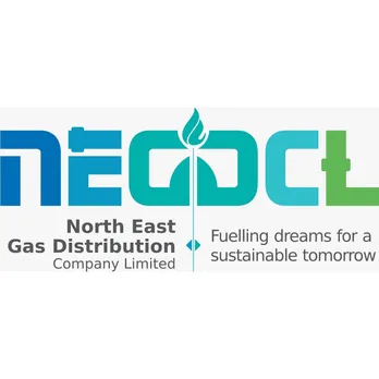 Jobs in Assam: NEGDCL Recruitment 2024 - Marketing Professionals Vacancy