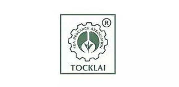 Jobs in Jorhat: Tocklai Tea Research Institute Recruitment 2025 - Junior Research Fellow Vacancy