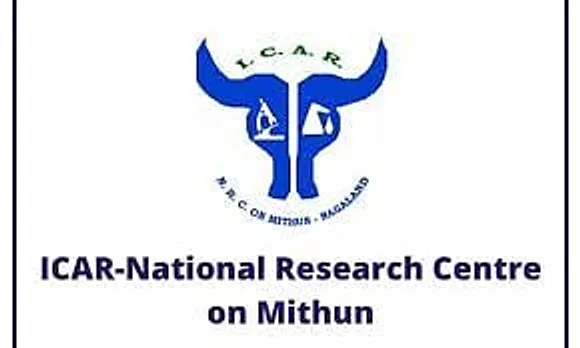 Jobs in Nagaland: NRCM Recruitment 2025 - Young Professional Vacancy