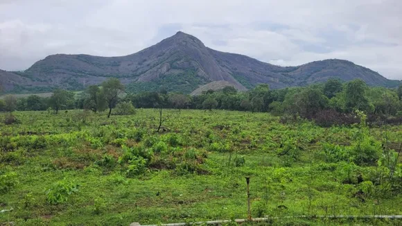 palakkaad stadium project