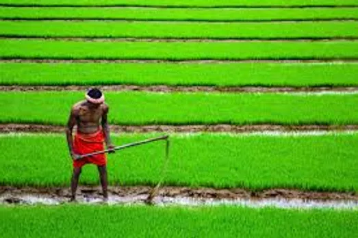agriculture