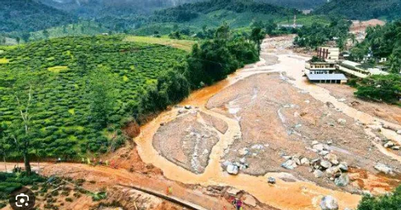 wayanad rehabilitation