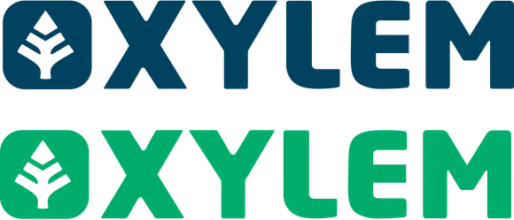 b10 xylem must