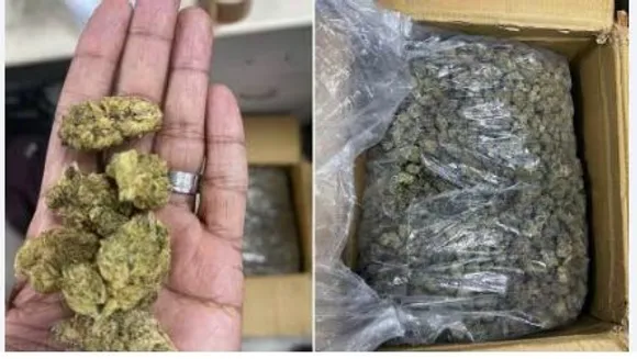 cannabias