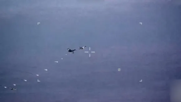 drone