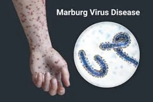 marberg virus