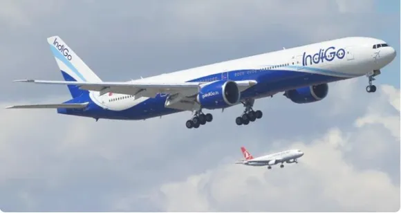 indigo