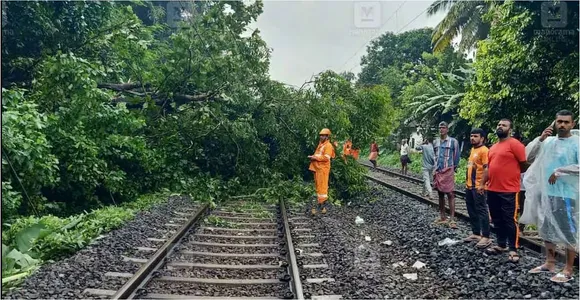 CLT TRAIN