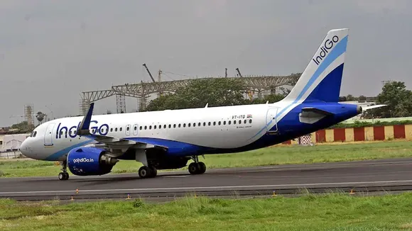 INDIGO