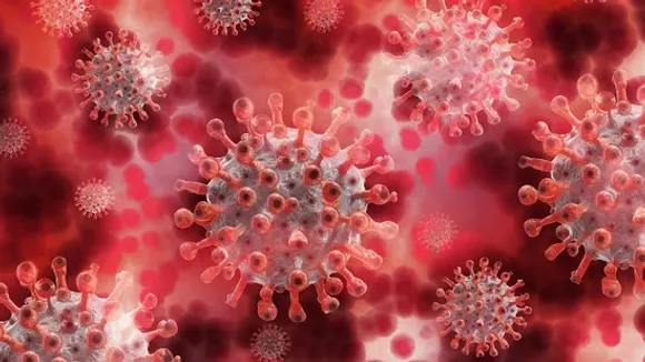 NIPHA VIRUS