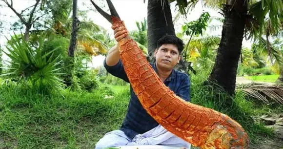 FIROZ