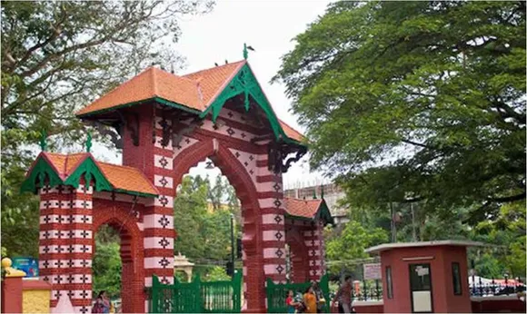 TVM ZOO