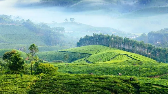 munnar