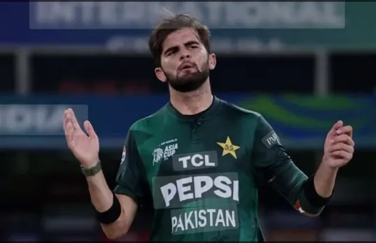 shaheen