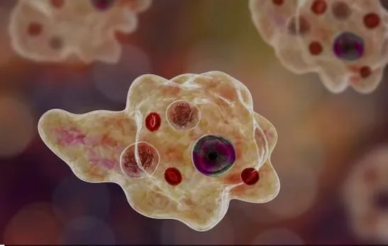 amoebicc