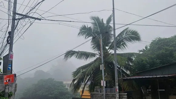 WhatsApp Image 2025-12-05 at 7.34.57 AM