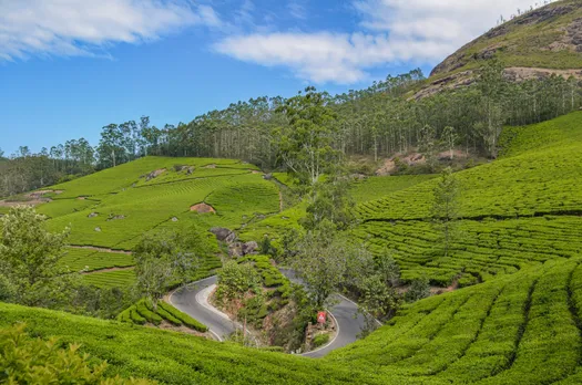 munnar