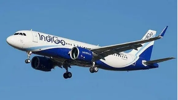 indigo-1